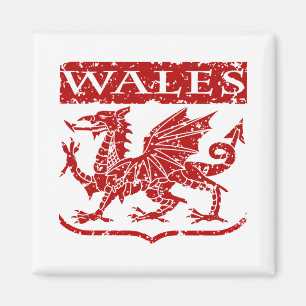 Vintage Wales Magneet