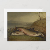 Vintage Walter Brackett Trout Briefkaart (Voorkant / Achterkant)
