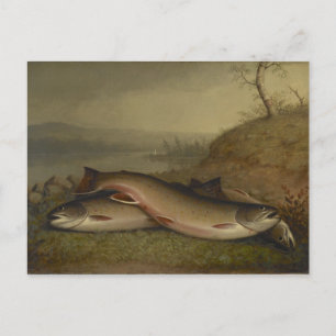Vintage Walter Brackett Trout Briefkaart