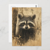 Vintage Waschbären Portrait Briefkaart (Voorkant / Achterkant)