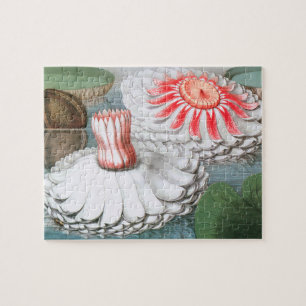 Vintage Waterlelie Bloemen, Waterlelies in een Vij Legpuzzel
