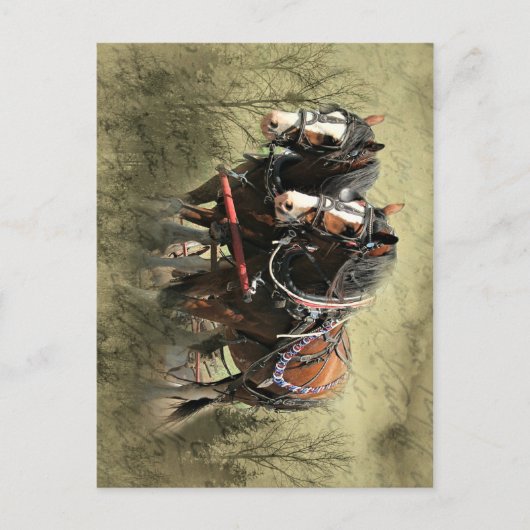 Vintage Weathered Clydesdale Briefkaart (Voorkant)