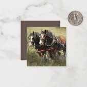 Vintage Weathered Clydesdale Briefkaart (Voorkant / Achterkant in situ)