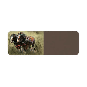 Vintage Weathered Clydesdale Briefkaart Etiket