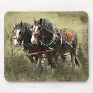 Vintage Weathered Clydesdale Briefkaart Muismat