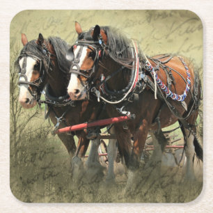 Vintage Weathered Clydesdale Briefkaart Vierkante Kartonnen Onderzetter