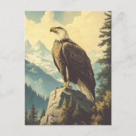 Vintage Weisskopfseeadler Alaska Postkarte Briefkaart