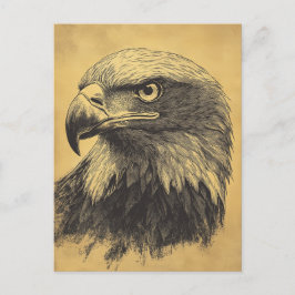Vintage Weisskopfseeadler Portrait Raubvogel Briefkaart