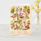 Vintage Wenskaart Wildflower Kaart (Gele Bloem)
