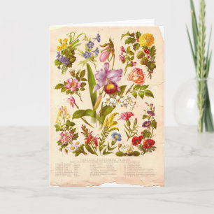 Vintage Wenskaart Wildflower Kaart