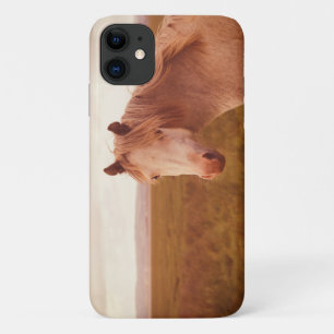 Vintage wilde paard iPhone 11 hoesje