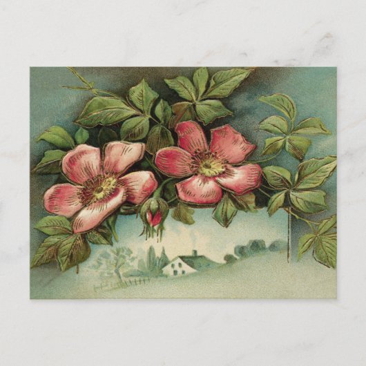 Vintage Wilde Rozen Briefkaart (Voorkant)