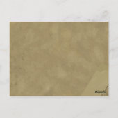 Vintage Women's Baseball Postcard Briefkaart (Achterkant)