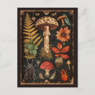 Vintage Woodland Paddenstoel Cottagecore Briefkaart