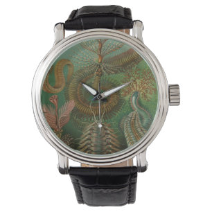Vintage Wormen Annelids Chaetopoda door Ernst Haec Horloge