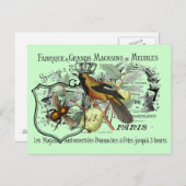 Vintage Yellow Bird and Bee Collage Briefkaart (Voorkant / Achterkant)