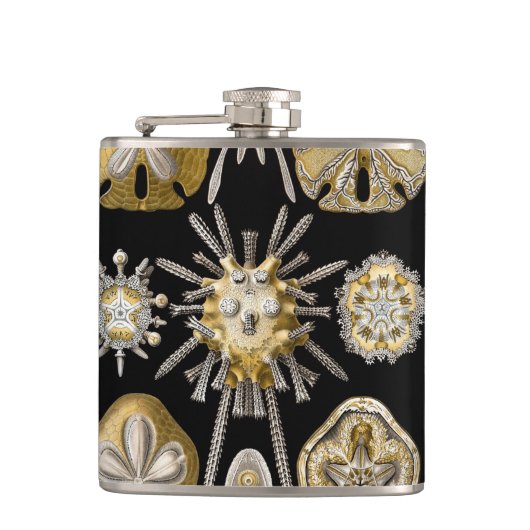 Vintage zee-egels zanddollars door Ernst Haeckel Heupfles (Voorkant)