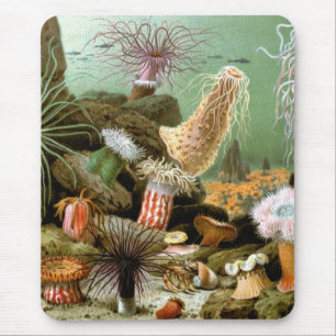 Vintage zeeanemonen, Zeeleven Oceandieren Muismat