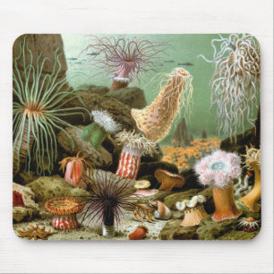 Vintage zeeanemonen, Zeeleven Oceandieren Muismat