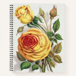Vintage Zonsondergang Roos Geel & Oranje Botanisch Notitieboek