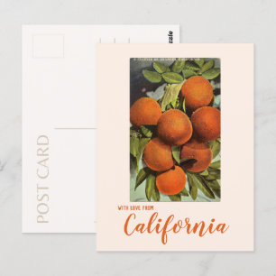 Vintage Zuid-Californië Sinaasappel Briefkaart