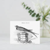 Vintage zwaluw vogel briefkaart (Staand voorkant)