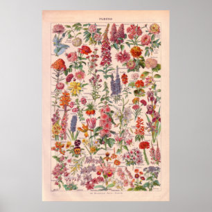 VintageFlowers poster 1920