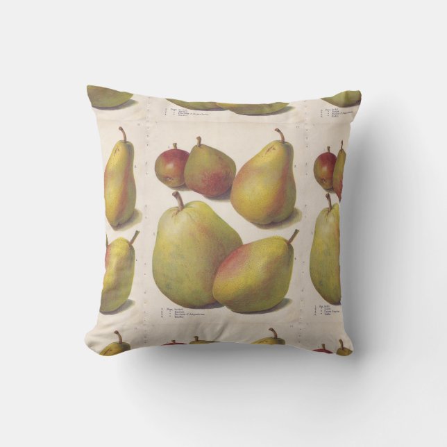 vintages coussin illustré 5 par poires (Recto)