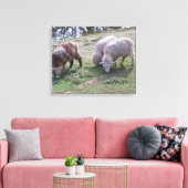 Vinyl Fotobehang - Drie schapen Canvas Afdruk (Insitu (Woonkamer))