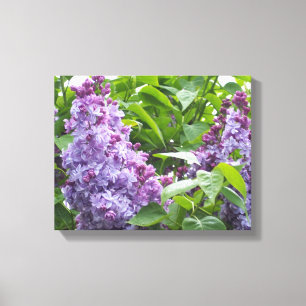Vinyl Fotobehang Lilacs Canvas Afdruk