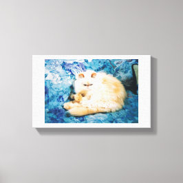 Vinyl Fotobehang Met Perzische Kat Canvas Afdruk