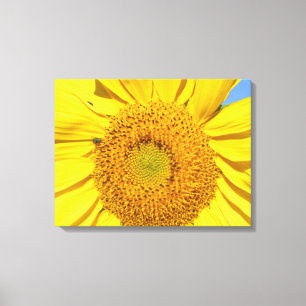 Vinyl Fotobehang - Vlieg op Zonnebloem Canvas Afdruk