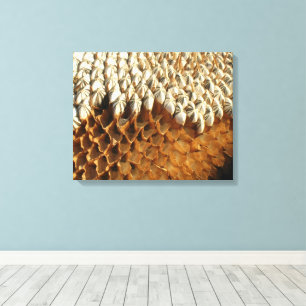 Vinyl Fotobehang - Zonnebloempitten Canvas Afdruk