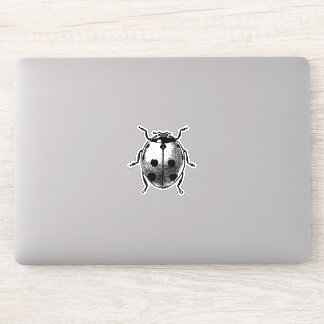 Vinyl Sticker grafisch afbeelding lieveheersbeest