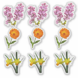Vinyl sticker - Lente bloemen