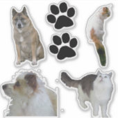VinylSticker - Katten en honden Sticker (Voorkant)