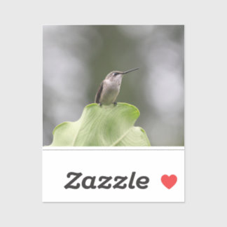 Vinylsticker op maat gesneden sticker