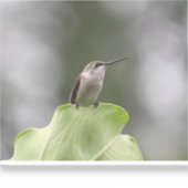 Vinylsticker op maat gesneden sticker (Voorkant)