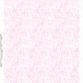 Vinylsticker op maat gesneden sticker (Voorkant)