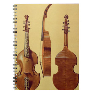 Viola d'Amore, 18e eeuw, uit 'Musical Instrum' Notitieboek