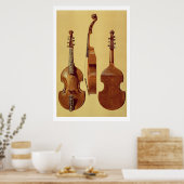 Viola d'Amore, 18e eeuw, uit 'Musical Instrum' Poster (Keuken)