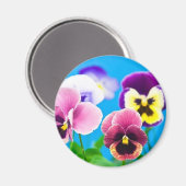 Viola fleurs Magnet (Recto/Verso)
