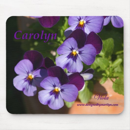 Viola Muismat Carolyn (Voorkant)