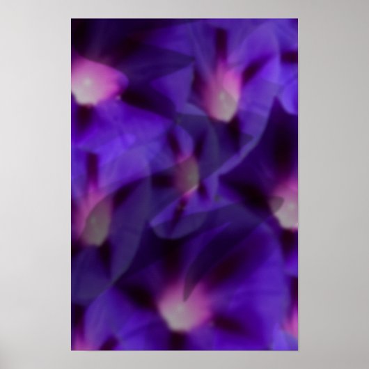 Viola Skys Poster (Voorkant)