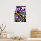 Viola violet Violas Floral Fleur Poster du jardin (Cuisine)
