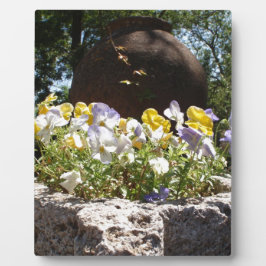 Violas In Een Stenen Bak. Fotoplaat