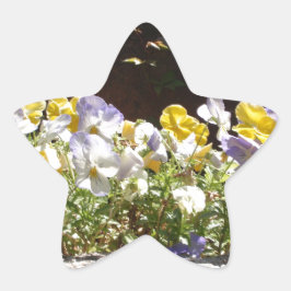 Violas In Een Stenen Bak. Ster Sticker