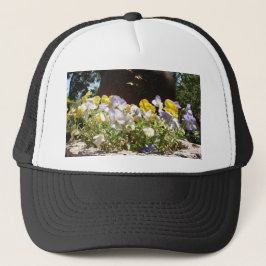 Violas in een stenen trog. trucker pet