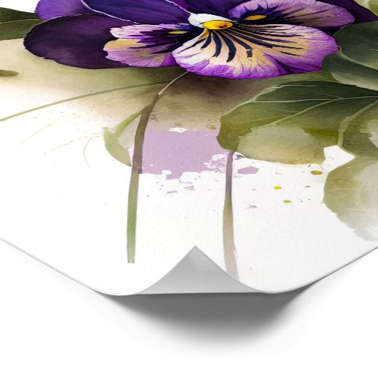 Violas violet Fleur Art Imprimer Poster (Coin)