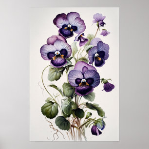 Violas violet Fleur Art Imprimer Poster